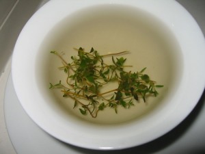 Tisane de thym bio pour la toux